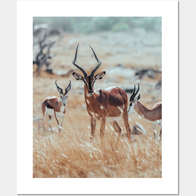 African Impalas Wall Art by withluke